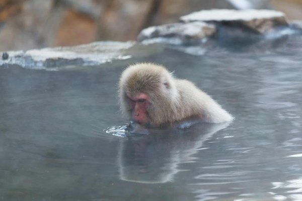 Où expérimenter les bains traditionnels onsens au Japon, hors des sentiers battus ?