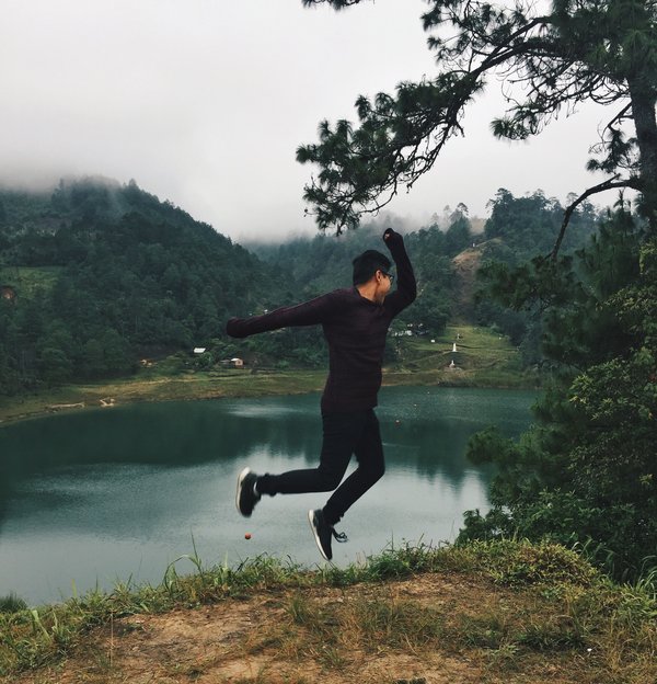 Comment vivre une aventure en traîneau à chiens dans l'Arctique canadien ?